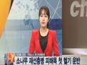 뉴스Y '소나무재선충병 피해목 첫 헬기 운반'