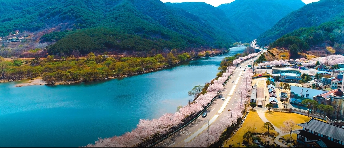 모범 도시숲으로 인증 받으세요!