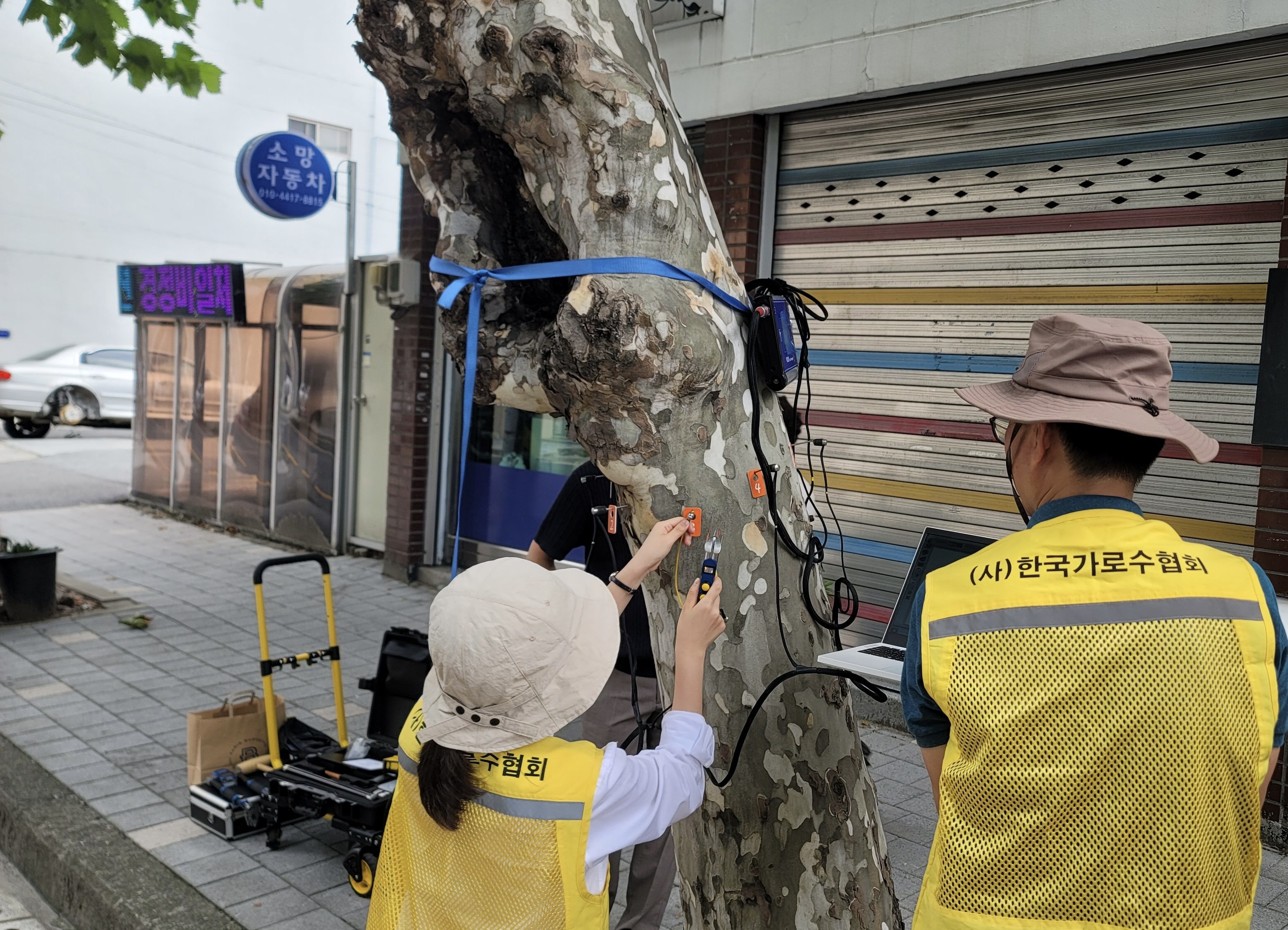 가로수·도시숲의 체계적인 관리를 위한 ‘도시숲법’ 등 산림분야 시행령 개...