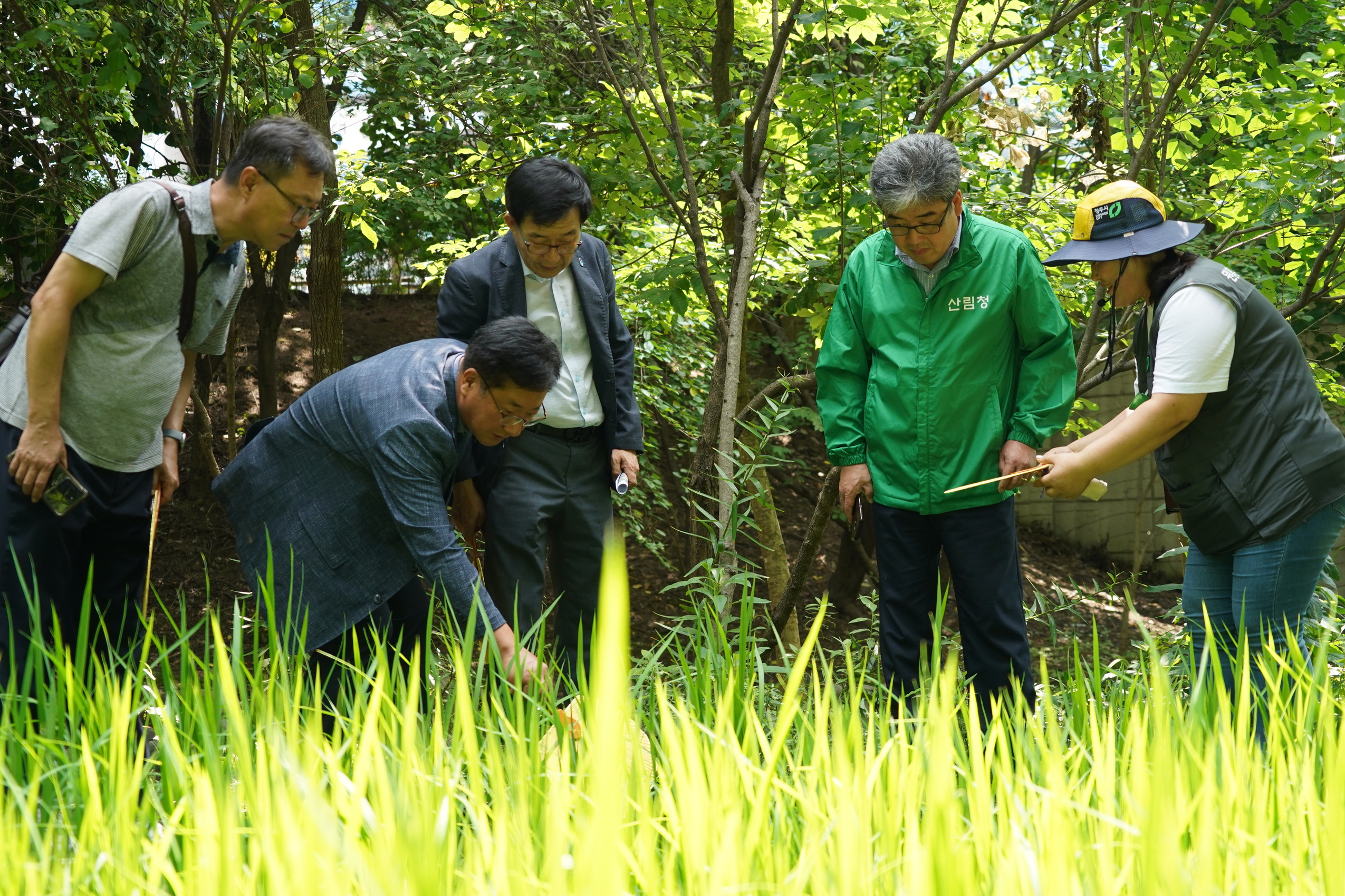 ‘청주 원흥이생태공원’ 도시숲 50선에 선정 …시민참여로 생태교육 서비스...