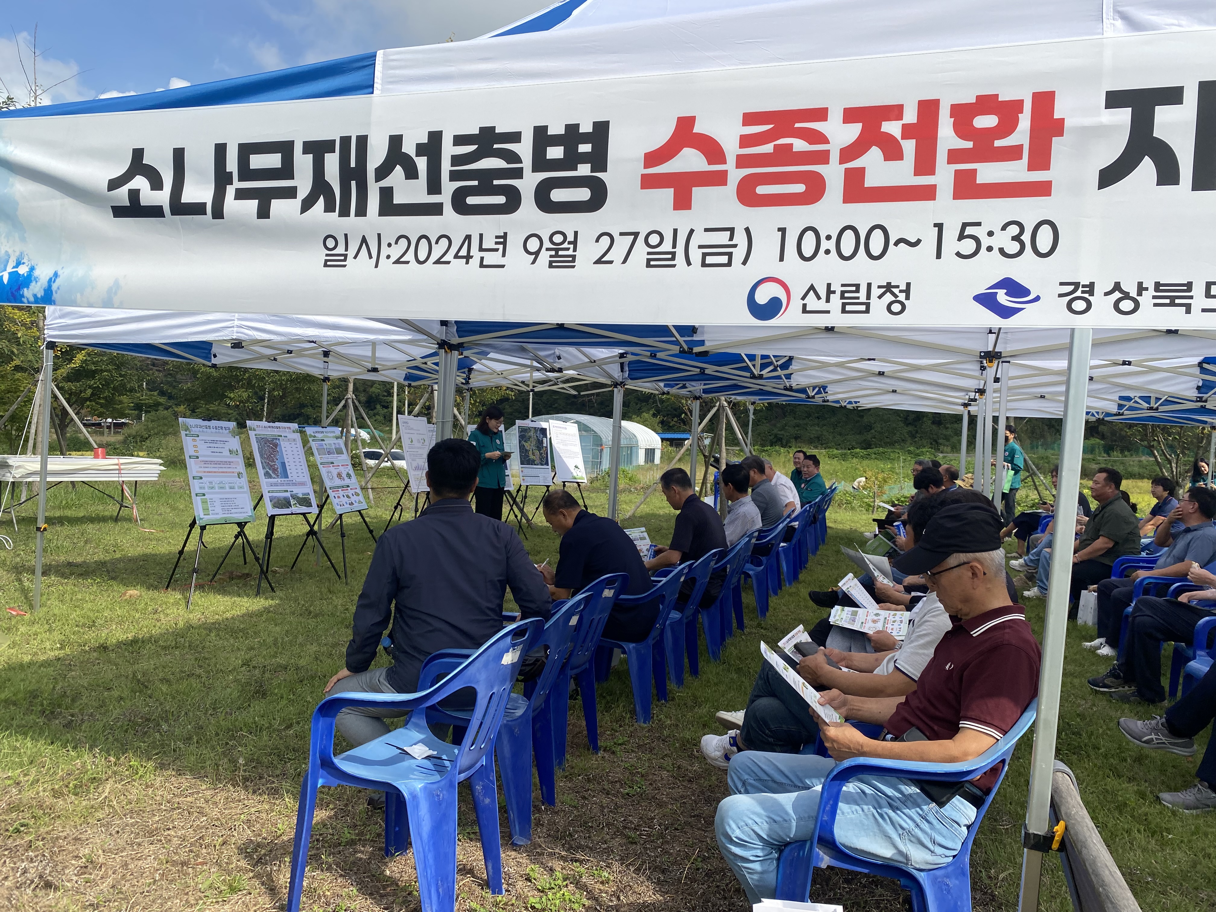 지역참여로 재선충병 소나무림 건강한 숲으로 전환