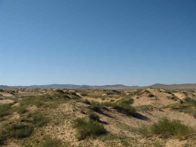 황사, 사막화 방지 위한 ‘몽골 그린벨트사업’ 내년 착수 이미지1