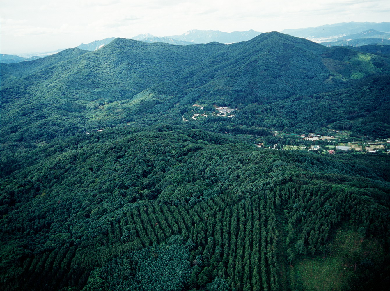 산림청 개청 40주년, 땀과 열정의 역사 