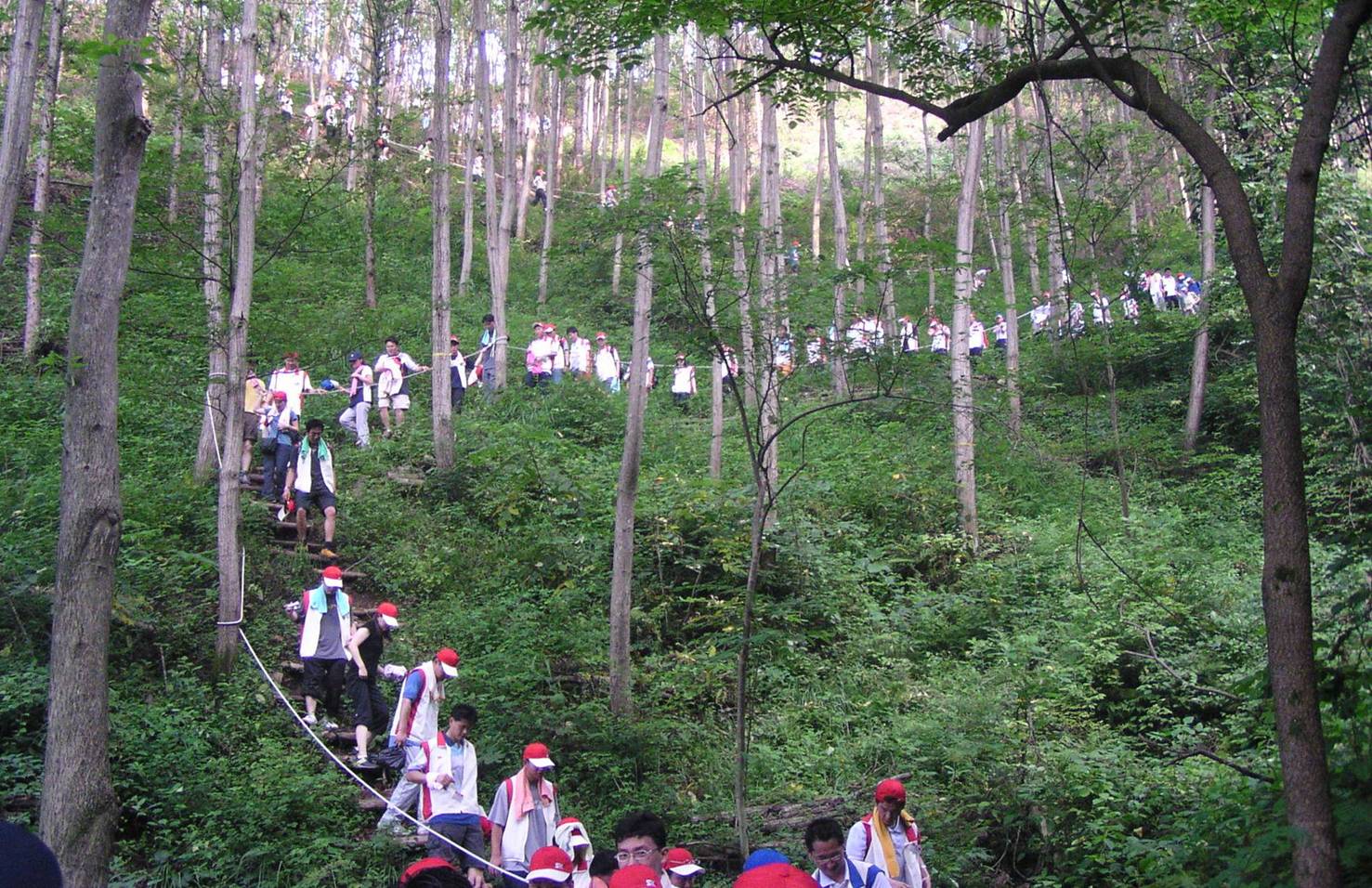 산림청, 민간기업 산림사업 투자 활성화 위한 「특수산림사업지구」운영  이미지2