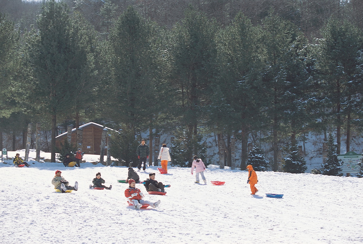 겨울철 자연휴양림은 자연 놀이터!