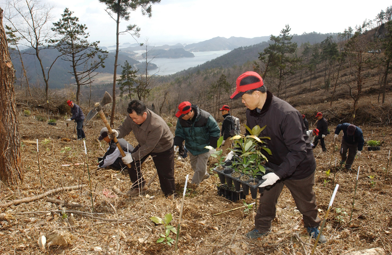 산림청, 나무 심는 산주에게 1ha당 260만원 조림비 지원  이미지2