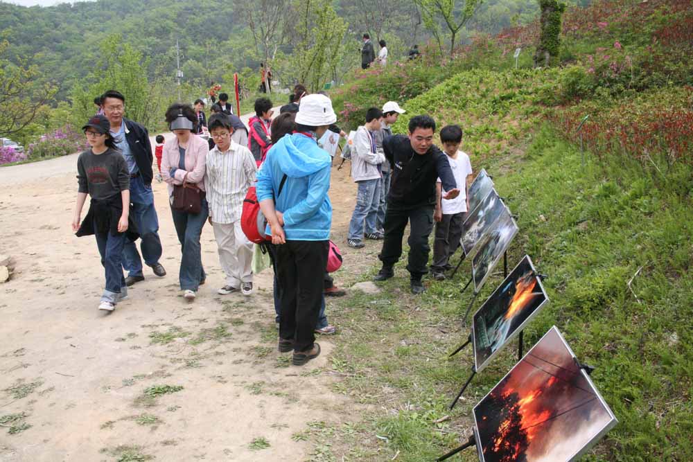 서운암 들꽃축제기간 중 산불예방 사진전시 이미지4