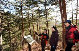 신원섭 산림청장 금강소나무 숲 방문