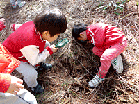 유아숲체험을 하고 있는 아이들-땅주변관찰