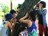 유아숲체험을 하고 있는 아이들-나무기둥관찰