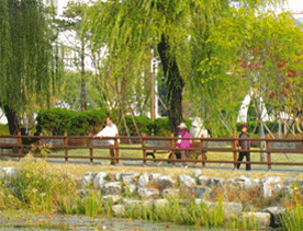 보훈원 개방형 그린타운 도시숲에서 휴식을 취하는 시민들