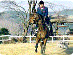 사진설명 - 말을 타고 있는 앞모습 (오른쪽 사진)