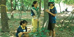 여자아이 3명이서 숲체험 활동하는 모습