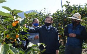최병암 차장, 떫은감 재배 임가 방문