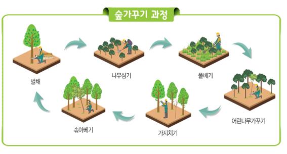 숲가꾸기 과정-1. 풀베기 2. 어린나무가꾸기 3. 가지치기 4. 솎아베기 5. 벌채 6. 나무심기