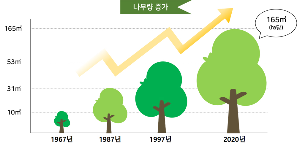 ha당 1967년은 10㎥, 1687년 31㎥, 1996년 53㎥, 2020년 165㎥으로 나무량 증가