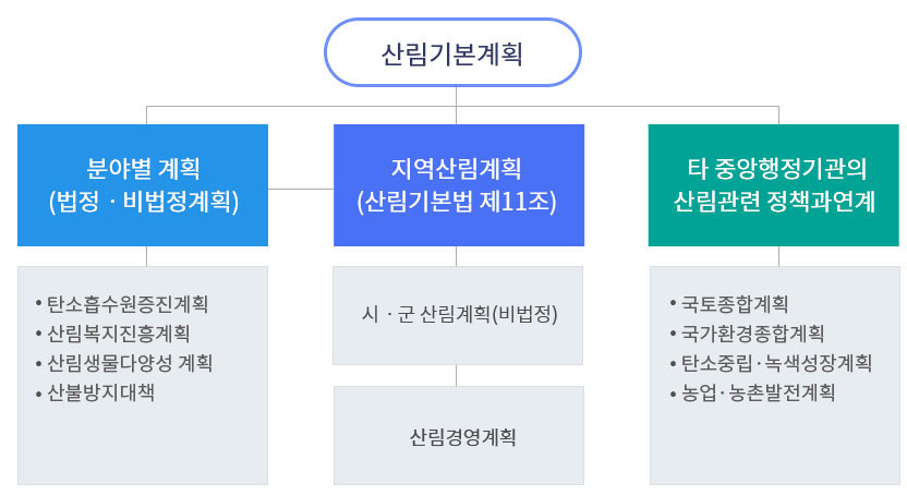 산림기본계획-분야별계획(법정·비법정계획)-(탄소흡수원증진계획,산림복지진흥계획,산림생물다양성 계획,산불방지대책), 지역산림계획(산림기본법제11조)-시·군산림계획(비법정)-산림경영계획, 타중앙행정기관의산림관련정책과연계-(국토종합계획, 국가환경종합계획,탄소중립·녹색성장계획,농업·농촌 발전계획)
